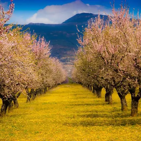 Апартаменты Turisticos Rio Gallego Фонтельяс