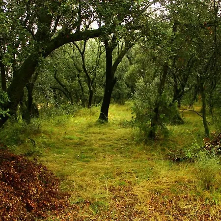 Turisticos Rio Gallego