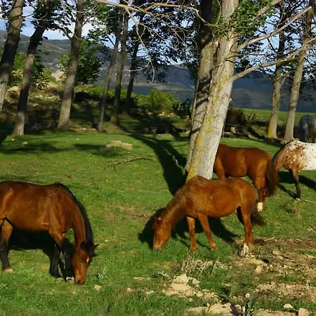 Апартаменты Turisticos Rio Gallego Фонтельяс