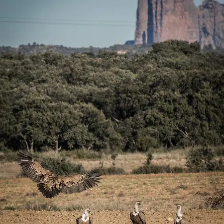 公寓 Turisticos Rio Gallego Fontellas (Aragon)