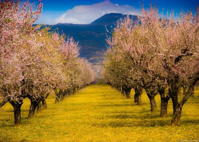 Апартаменты Turisticos Rio Gallego Фонтельяс