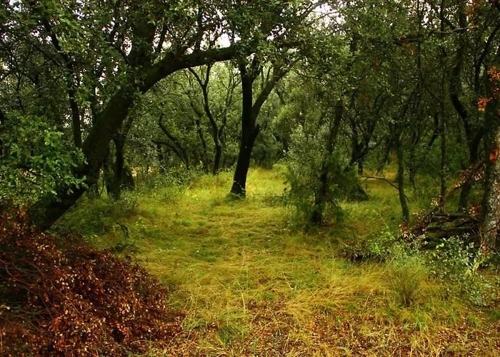 Turisticos Rio Gallego
