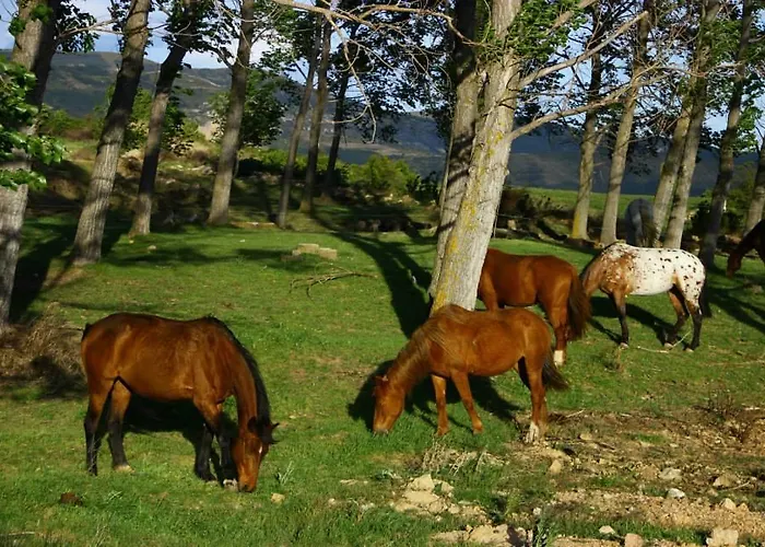 Апартаменты Turisticos Rio Gallego Фонтельяс