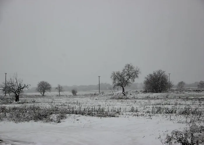Апартаменты Turisticos Rio Gallego *