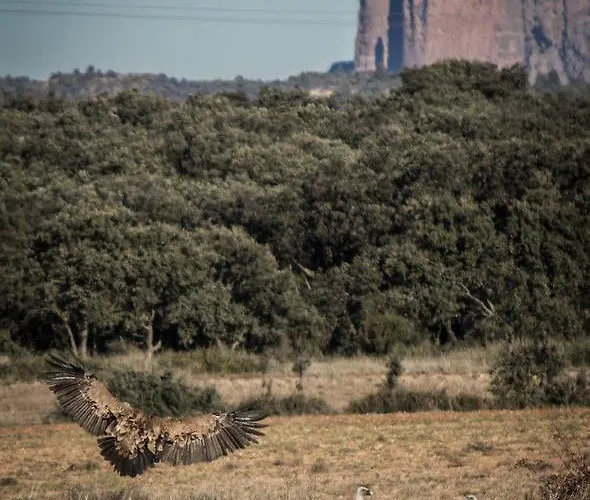 Apartman Turisticos Rio Gallego Fontellas