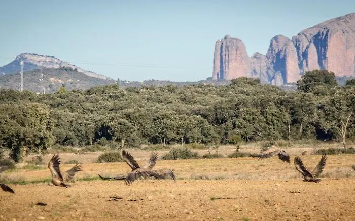 Apartman Turisticos Rio Gallego Fontellas